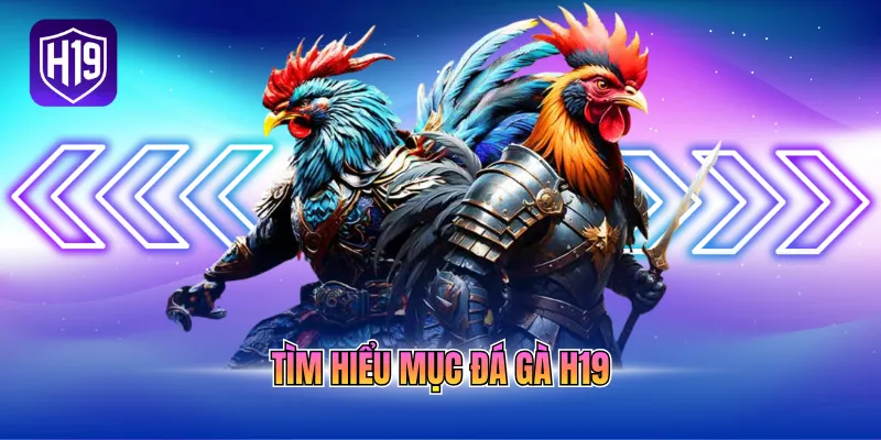 Tìm hiểu mục đá gà H19